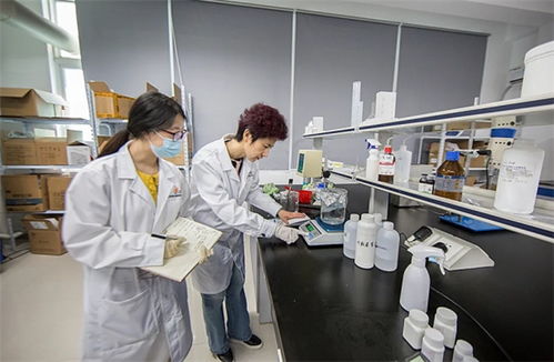 抓品質(zhì)重服務(wù)，海智生物專注品質(zhì)，倚夢(mèng)前行